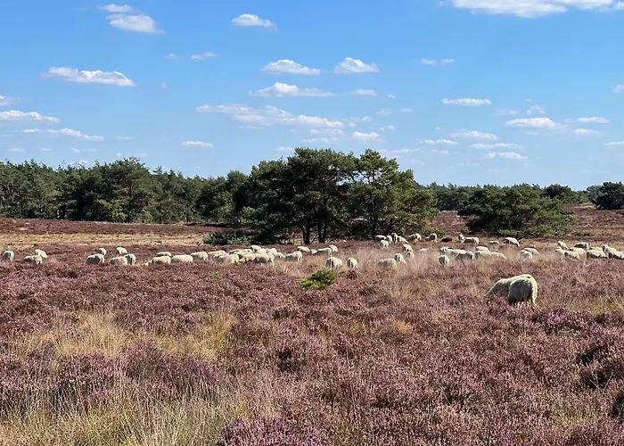 Taiga Tiny House بيت للعطل نونسبيت