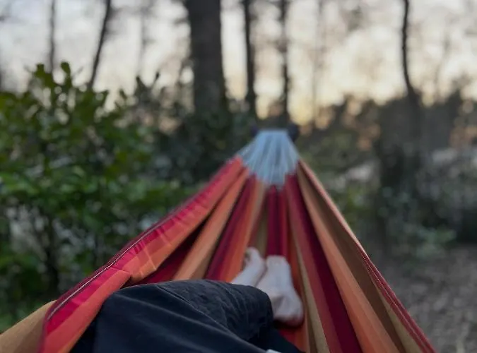 Taiga Tiny House نونسبيت