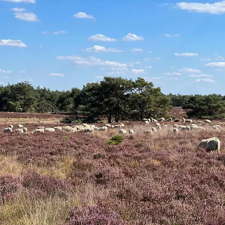 Taiga Tiny House Nyaraló Nunspeet